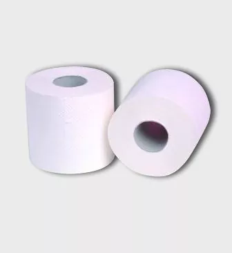 Toilet Paper Rolls